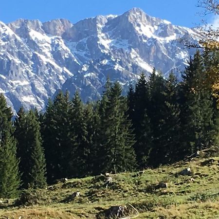 Auhaeuslalm Villa Maria Alm am Steinernen Meer Exterior photo