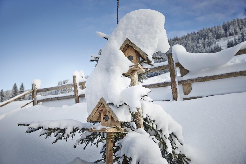 Auhaeuslalm Villa Maria Alm am Steinernen Meer Exterior photo