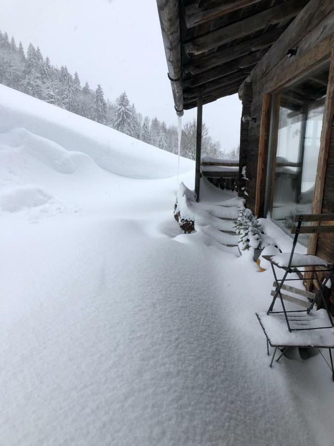 Auhaeuslalm Villa Maria Alm am Steinernen Meer Exterior photo